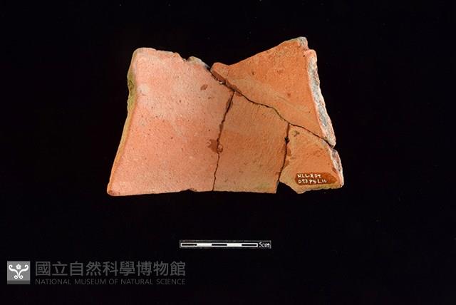 陶片藏品圖，第2張