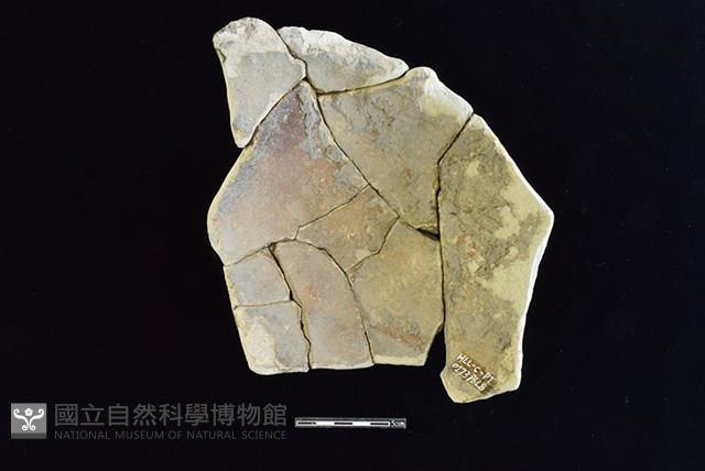 陶罐藏品圖，第2張