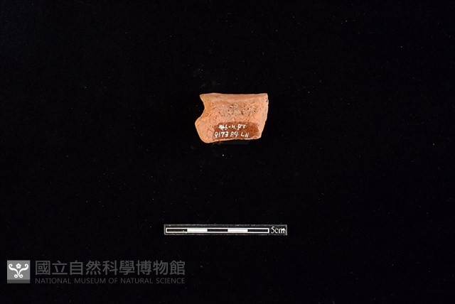 陶片藏品圖，第2張