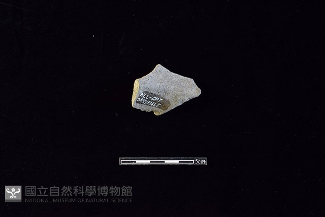 陶罐藏品圖，第2張