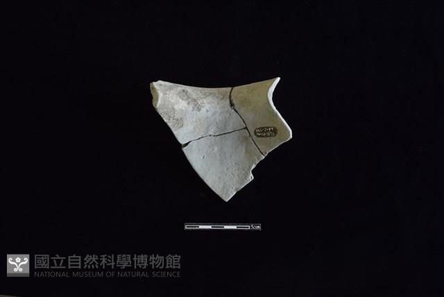 陶罐藏品圖，第2張