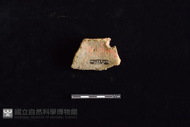 陶片藏品圖，第2張