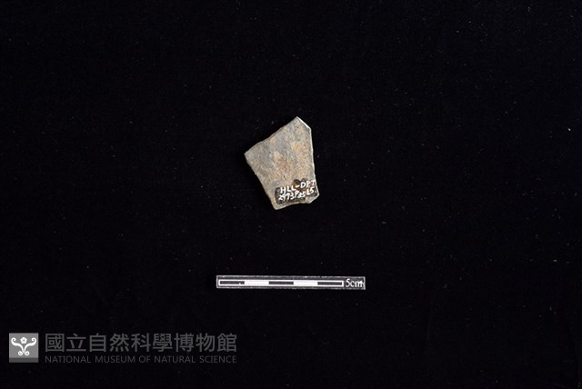 陶片藏品圖，第2張