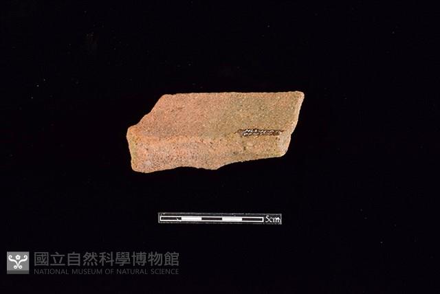 陶罐藏品圖，第2張