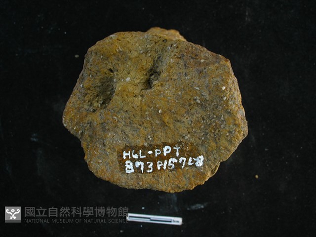 陶獸足藏品圖，第2張