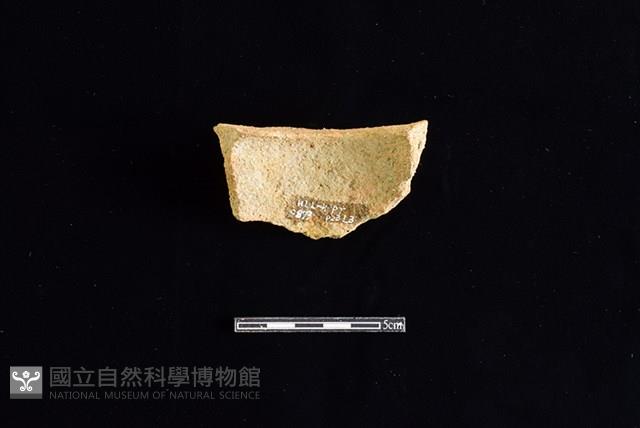 Accession Number:HLL-H PT0873 Collection Image, Figure 2, Total 2 Figures