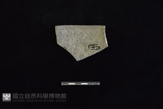 陶片藏品圖，第2張