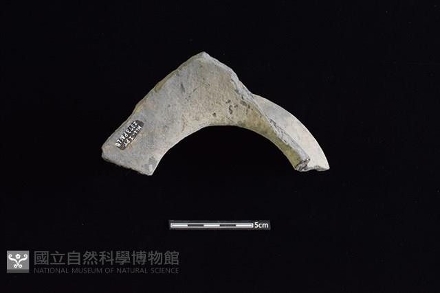 陶罐藏品圖，第2張