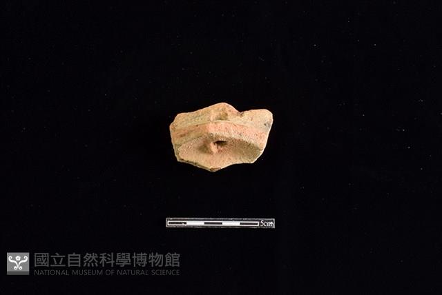 陶片藏品圖，第2張