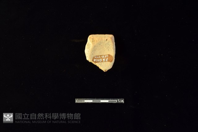陶罐藏品圖，第2張