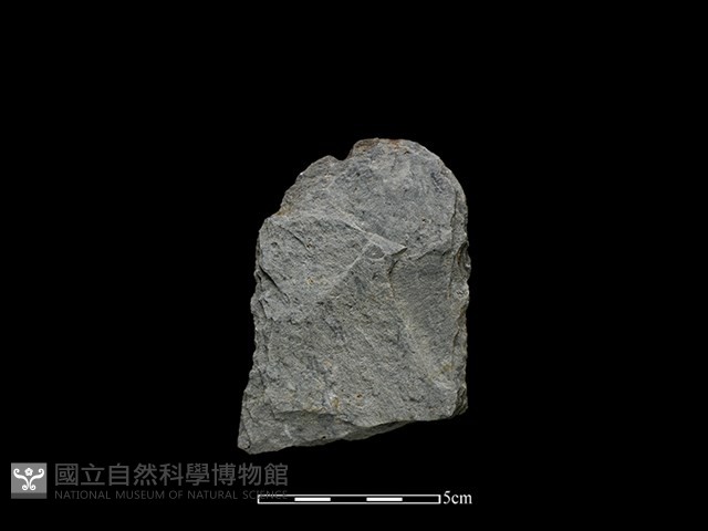 斧鋤形器藏品圖，第2張