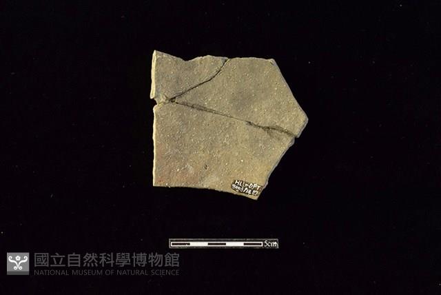 陶片藏品圖，第2張