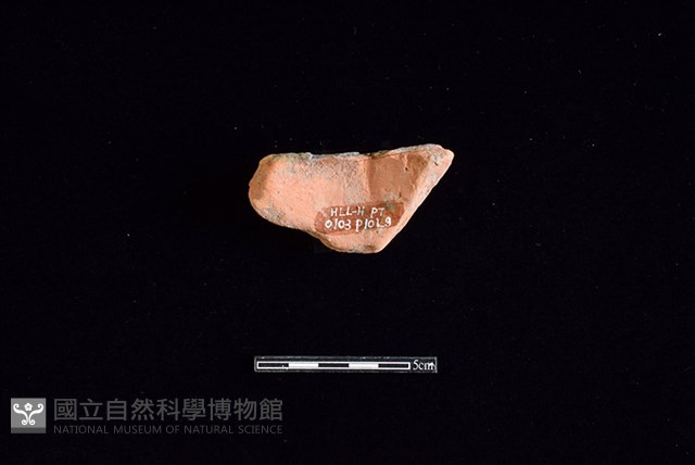 陶片藏品圖，第2張