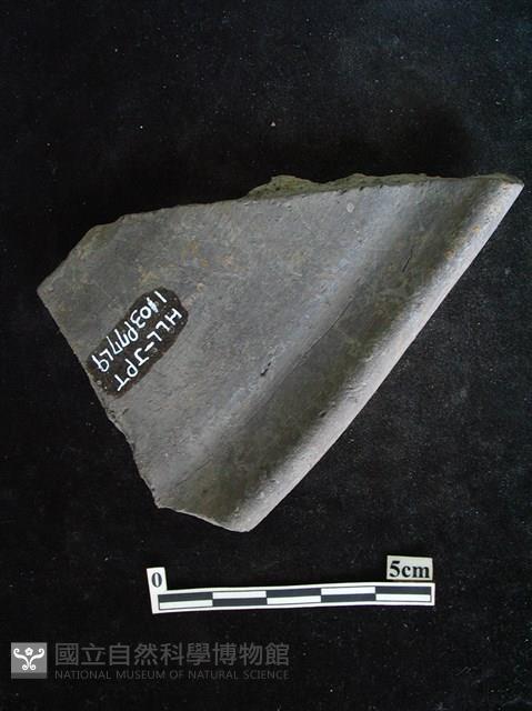 陶片藏品圖，第2張