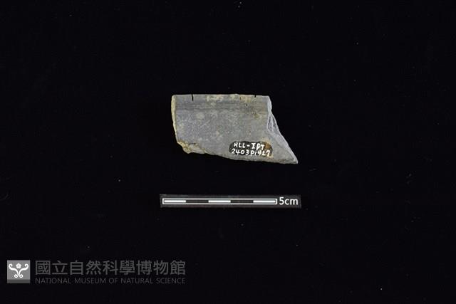 陶片藏品圖，第2張