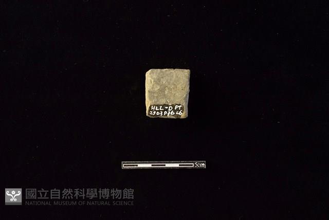 陶片藏品圖，第2張