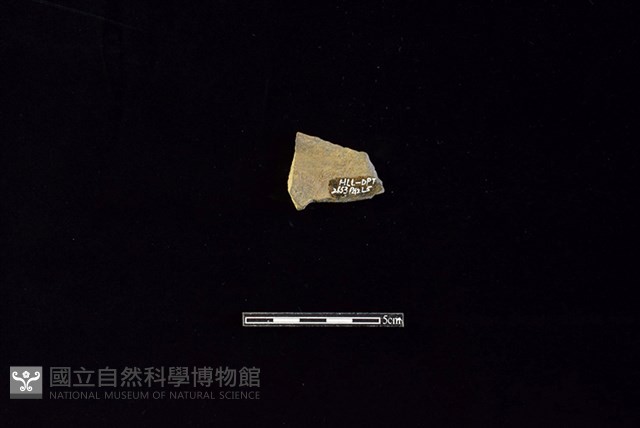 陶罐藏品圖，第2張