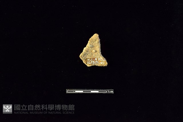 陶片藏品圖，第2張