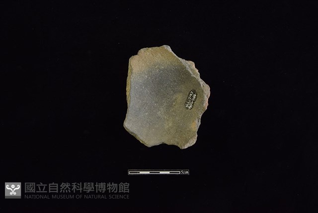 陶片藏品圖，第2張