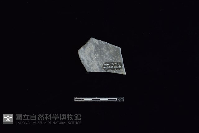 陶片藏品圖，第2張