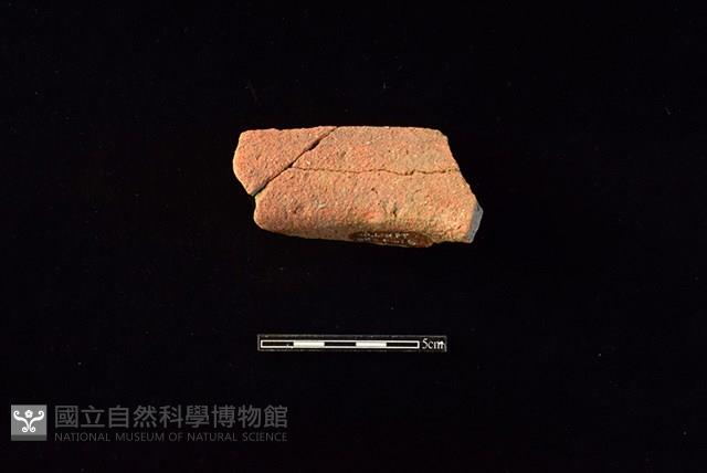 陶罐藏品圖，第2張