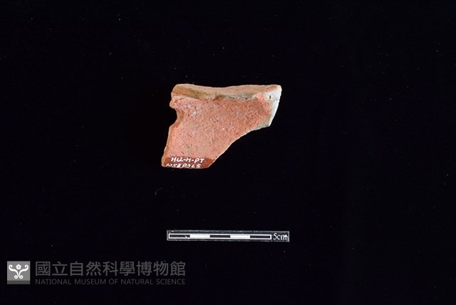 陶片藏品圖，第2張