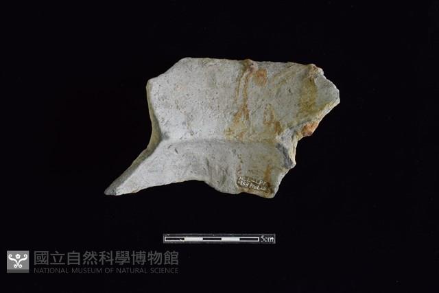 陶罐藏品圖，第2張