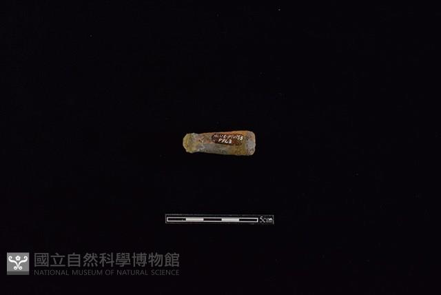 陶把藏品圖，第2張