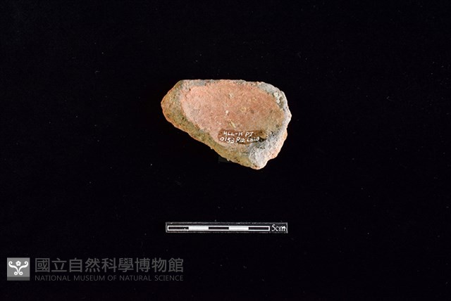 陶片藏品圖，第2張