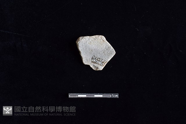 陶罐藏品圖，第2張