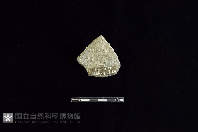 陶片藏品圖，第2張