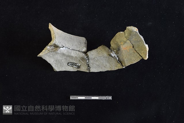 陶罐藏品圖，第2張