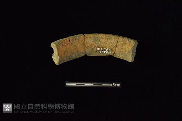 Accession Number:HLL-I PT2453 Collection Image, Figure 2, Total 2 Figures