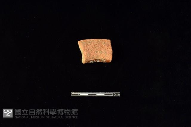 陶罐藏品圖，第2張