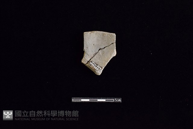 陶片藏品圖，第2張
