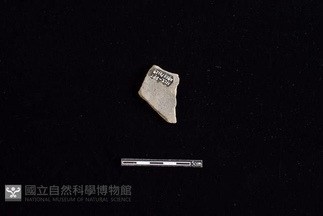 陶片藏品圖，第2張