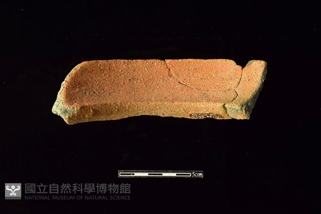陶罐藏品圖，第2張