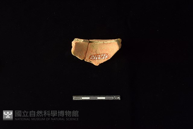 陶片藏品圖，第2張