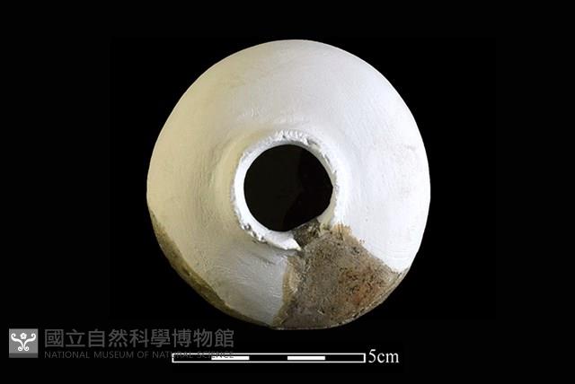 陶瓶藏品圖，第2張