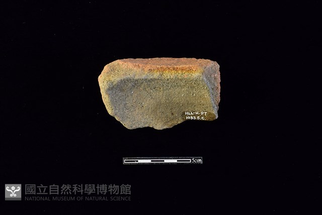 陶片藏品圖，第2張