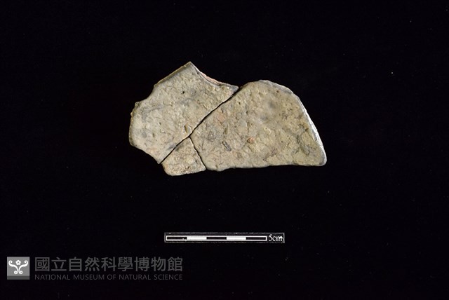 陶片藏品圖，第2張