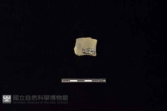 陶片藏品圖，第2張