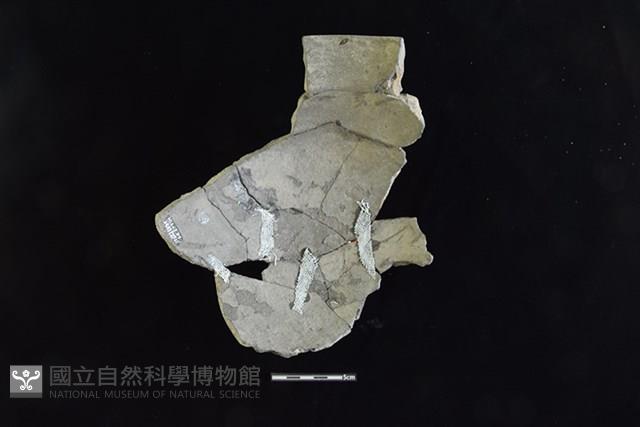陶罐藏品圖，第2張