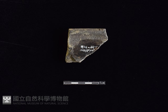 陶罐藏品圖，第2張