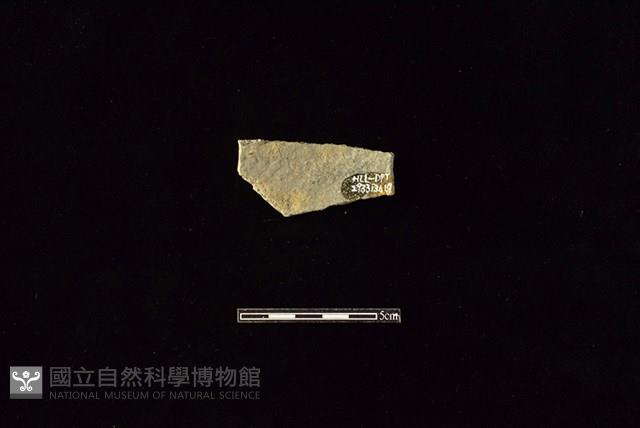 陶片藏品圖，第2張