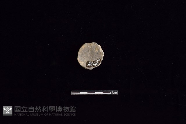 陶片藏品圖，第2張