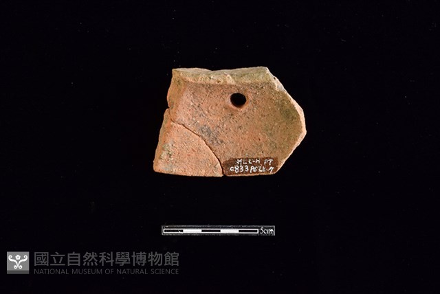 陶片藏品圖，第2張