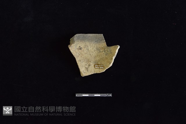 陶罐藏品圖，第2張