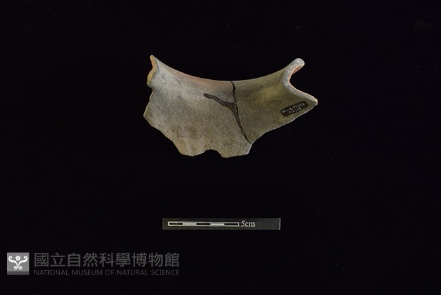陶罐藏品圖，第2張