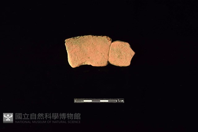 連杯形器藏品圖，第2張